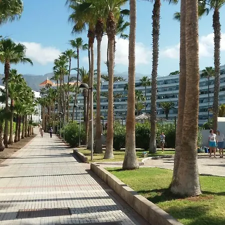 Apartment Altamira